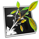 MindNodePro
